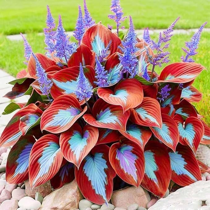 110 Pcs Fragrant Hosta Flower Seeds for Planting Easy Growing Perennial Shade Plants, Green Foliage for Garden Landscaping & Home Decor
