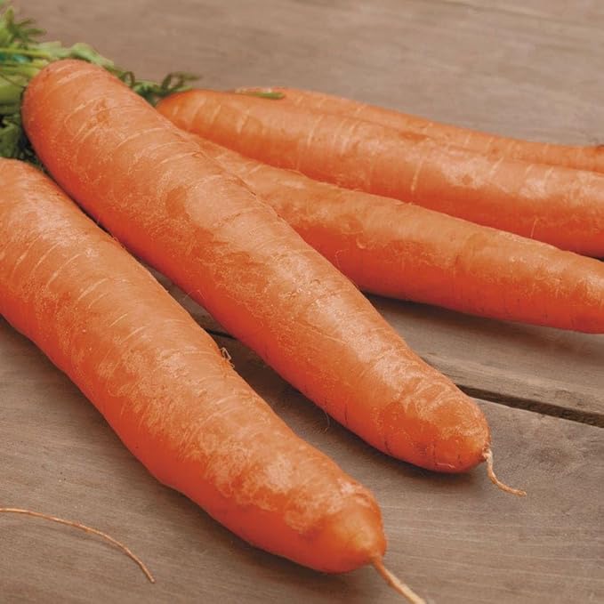 Park Seed Sow Effortless Collection Seed Tape – Little Finger Carrot, 15 Feet – Easy DIY Planting, Sweet Baby Carrots with No Thinning Required, Compact Size for Containers and Rows, Ready in 60 Days