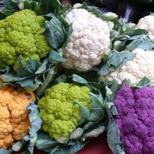 Seeds Cauliflower Mix Cabbage Heirloom Vegetable for Planting Non GMO