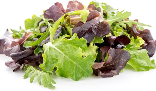 1000+ Seeds Indoor Vitamin Baby Lettuce 20 Days for Salad - Vegetable Mix