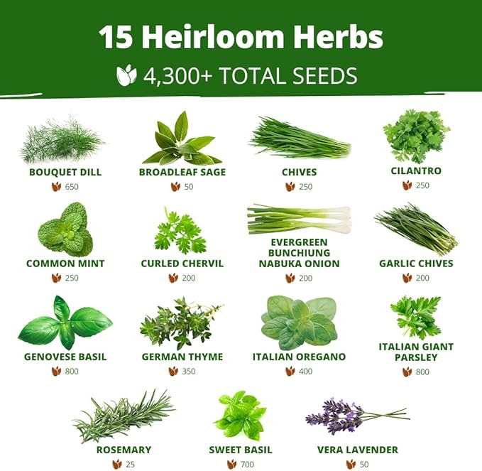 HOME GROWN Herb Seeds for Planting 15-Pack Massive Seed Count 4,300+ Seeds Non-GMO Heirloom | Extra Large | Culinary Herb Kit, Indoor Outdoor & Hydroponic | Grow Your Own Herbs | Gardening Gift
