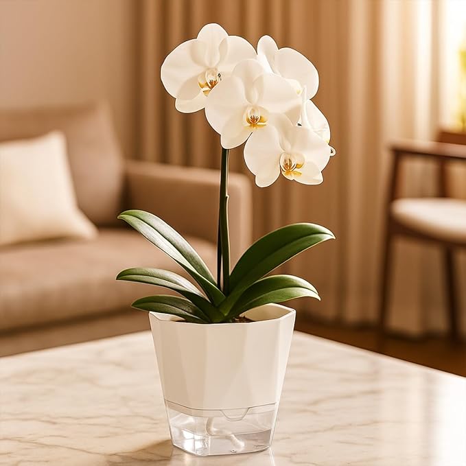10 Pack Self Watering Pots for Indoor Plants, 6.7 Inches Self Watering Planters African Violet Pots Clear Pots for Herb Orchid Flower Houseplant, White