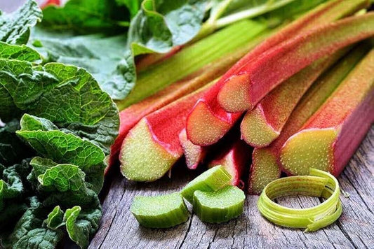30+ Seeds Rhubarb Victoria - Vegetable Red