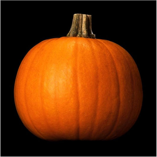 Everwilde Farms - 1/4 Lb Organic Spookie Pumpkin Seeds - Gold Vault