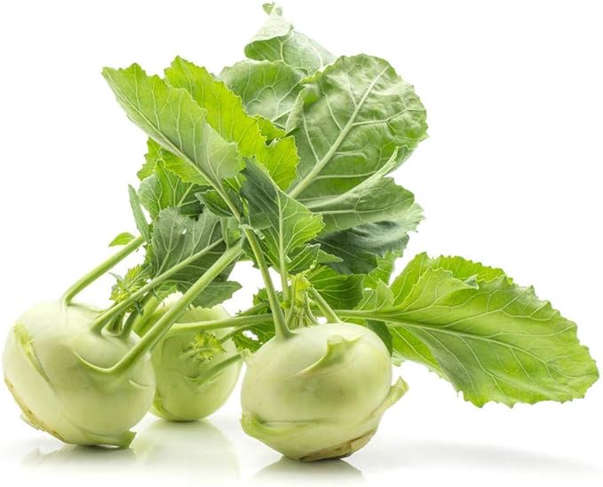 Kohlrabi Seeds for Planting, Pack of 1000 Vegetable Seeds for Planting