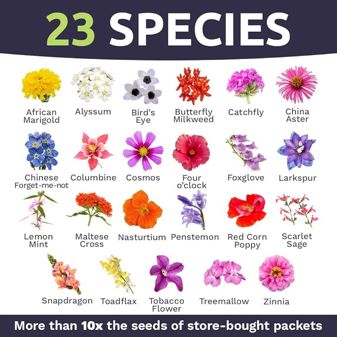 Wildflower Seeds Butterfly and Humming Bird Mix - Large 1 Ounce Packet 7,500+ Seeds - 23 Open Pollinated Annual and Perennial Species