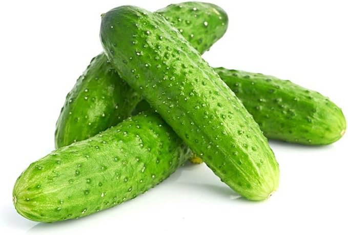 Seeds Cucumber Lyalyuk Little Mini Pickling Heirloom Vegetable for Planting Non GMO
