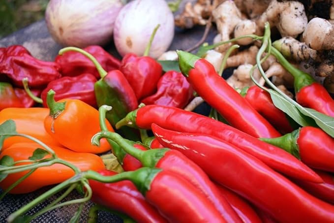 Cayenne Pepper Seeds for Planting, 200 Hot Pepper Seeds Cayenne Jalapeno, Non-GMO Long Slim Cayenne Hot Pepper Seeds Indoor & Outdoor, Heirloom Cayenne Pepper Seeds Bulk for Home Garden