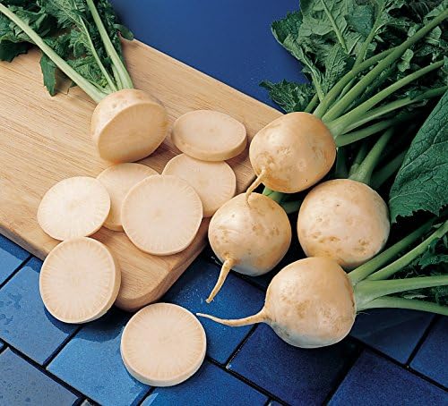 Burpee Golden Globe Organic Turnip Seeds 2600 seeds