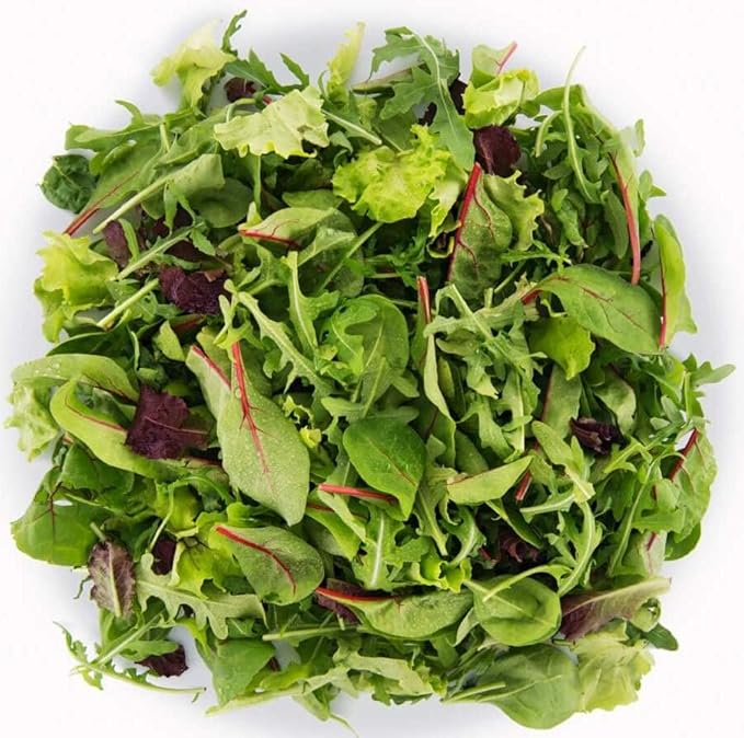1000+ Seeds Indoor Vitamin Baby Lettuce 20 Days for Salad - Vegetable Mix