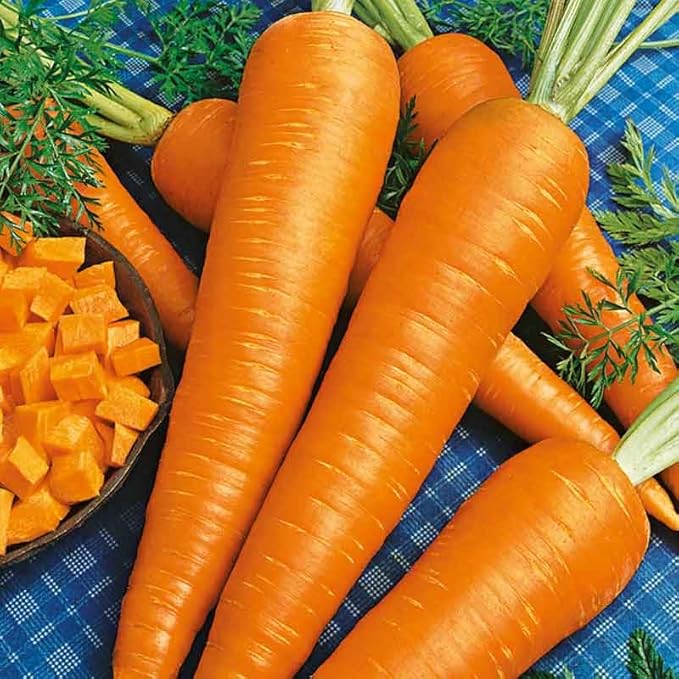 Eden Brothers Carrot Seeds (Organic) - Danvers 126