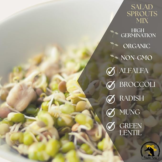 1 lb Salad Style Bean Sprout Starter Seeds - 46 Servings per Bag! - Non-GMO Organic - Sprouting Mix - Includes Alfalfa, Broccoli, Radish, Mung, and Green Lentil
