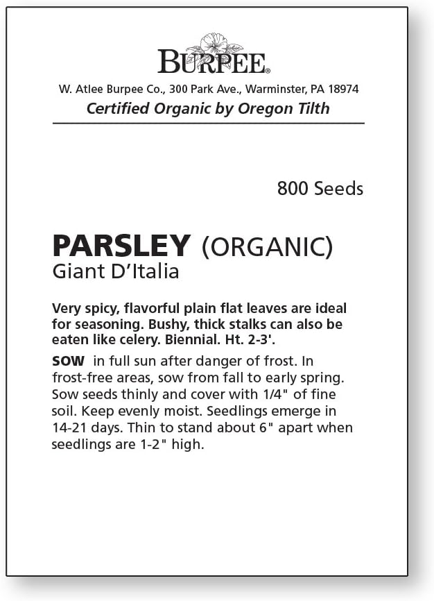Burpee Gigante D'Italia Organic Parsley Seeds 800 seeds