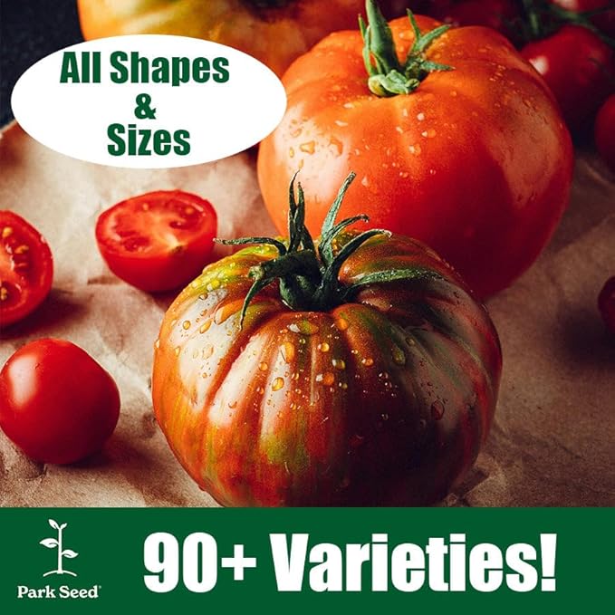 Park Seed Variety of Tomato Seeds, Planting Vegetables, Easy to Grow, Non-GMO, Perfect for Harvesting, Big Yummy Hybrid, Pack of 1000