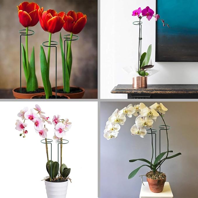 HiGift 5 Pack Plant Support Stakes, Garden Single Stem Flower Support Stick Metal Amaryllis Plant Cage Support Rings with 10pcs Plant Clips for Orchid Lily Peony Rose Stem (40 cm/16 inch Long)
