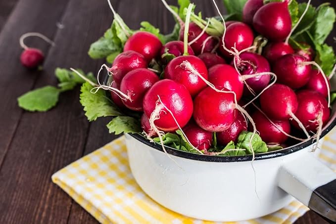 Seeds Red Ball Radish 20 Days Non GMO Vegetable for Planting
