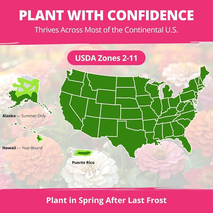 HOME GROWN Zinnia Dahlia Seeds Pack for 2026 Non GMO 524 Flower Seeds | Vibrant Zinnia Elegans for Pollinator Gardens, Borders & Containers | Easy-to-Grow Outdoor Blooms