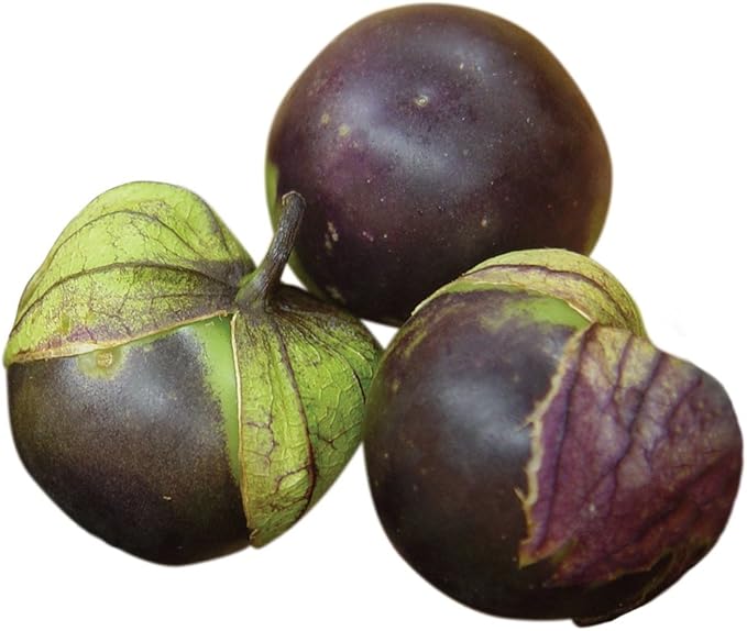 Burpee Purple Organic Tomatillo Seeds 80 seeds