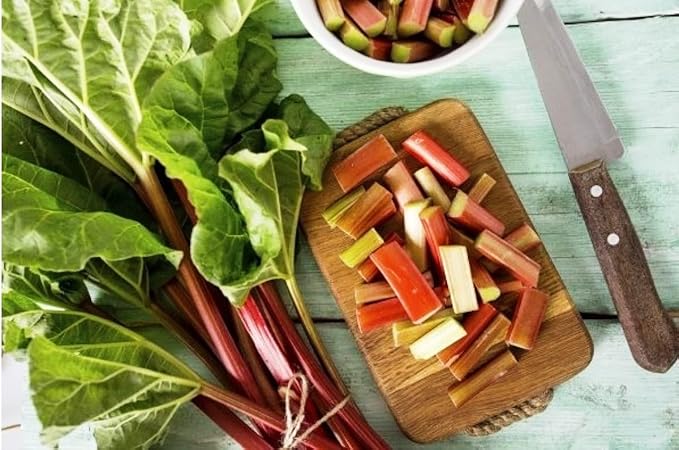 30+ Seeds Rhubarb Victoria - Vegetable Red