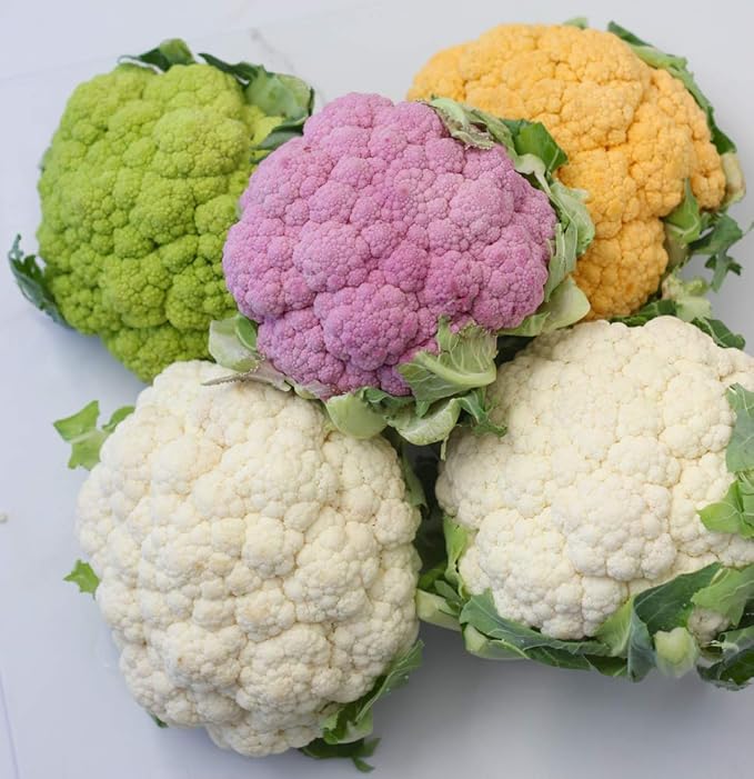 Seeds Cauliflower Mix Cabbage Heirloom Vegetable for Planting Non GMO