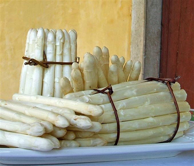 50+ Seeds Asparagus (Sparrow Grass) - Vegetable White