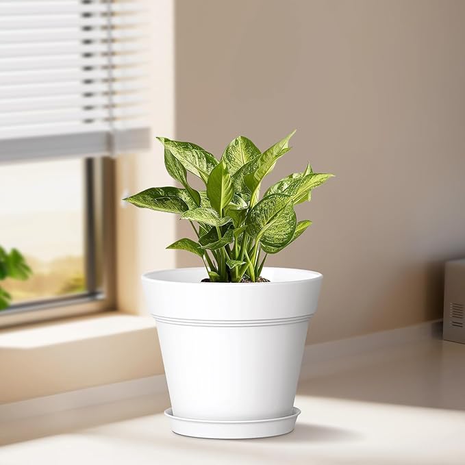5 Inch Plastic Plant Pots with Drainage Holes and Trays – 6 Pack Small Nursery Pots for Indoor & Outdoor House Plants and Flowers, Seedling Starter Planters, Colorful