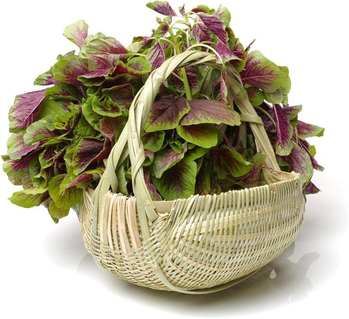 Detroit Dark Red Beet Seeds, Pack of 50 Vegetables Seeds for Plating