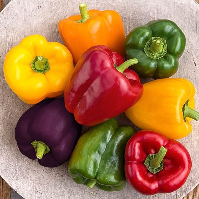 40+ Seeds Sweet Bell Pepper Rainbow - Vegetable Mix