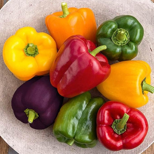 40+ Seeds Sweet Bell Pepper Rainbow - Vegetable Mix