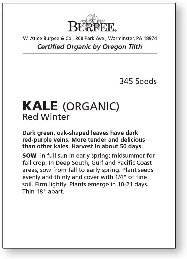 Burpee Red Winter Kale Seeds 345 seeds