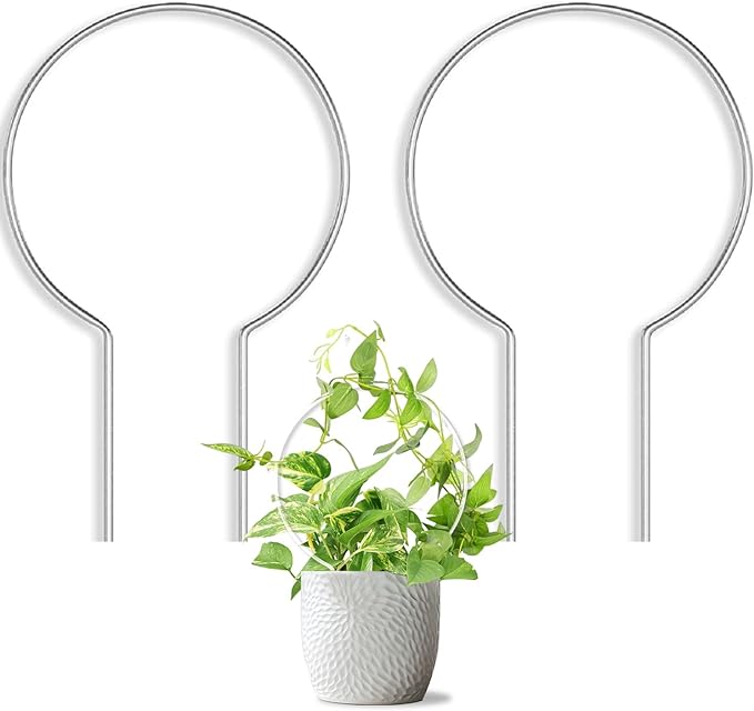 2 Pack Round Plant Trellis for Potted Plants Indoor Outdoor, Acrylic Small Trellis for Climbing Plants, Plant Support for Hoya Pothos Vine Ivy Monstera Flower Philodendrons Dischidia