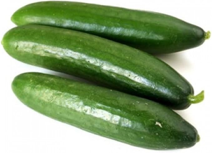 Seeds Cucumber Emelya Giant Burpless for Pickling Vegetable for Planting Heirloom Non GMO