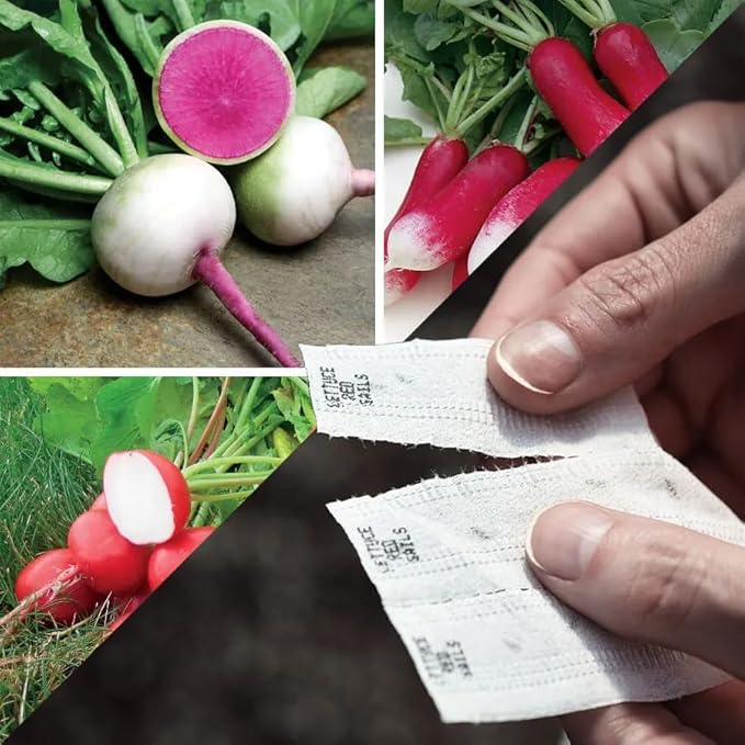 Park Seed Sow Effortless Collection Seed Tape – Gourmet Radish Collection, 15 Feet – Easy DIY Planting, 3 Premium Varieties, Quick-Growing Cool-Season Crop, No Thinning, Ready in 30–60 Days