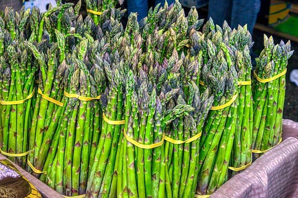 500+ Mary Washington Asparagus Seeds for Planting, Heirloom Non-GMO Seeds, Premium Asparagus Seeds Organic for Perennial Vegetable Garden, Organic Asparagus Seeds for Planting Outdoors