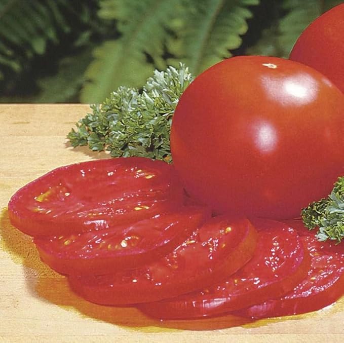 Park Seed Variety of Tomato Seeds, Planting Vegetables, Easy to Grow, Non-GMO, Perfect for Harvesting, Better Bush Improved Hybrid, Pack of 1000