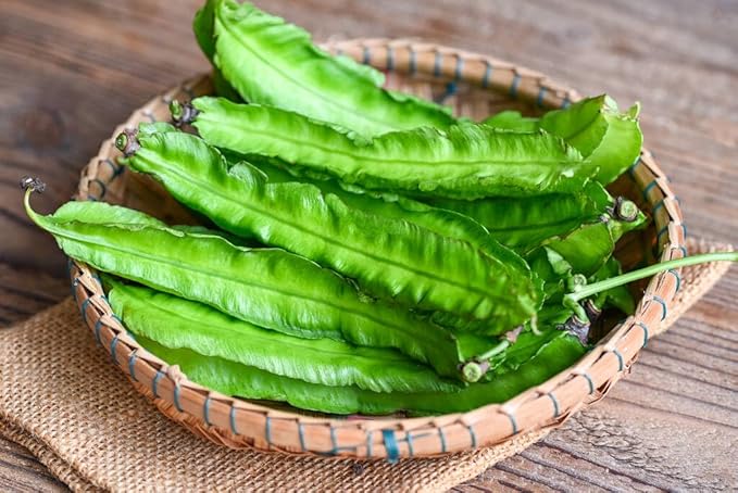 Winged Bean Seeds for Planting, Organic, Heirloom, Non-GMO - 30 Seeds USA Premium Four Angled, Princess Bean Seeds, High-Yielding Vine for Tropical Gardens, Containers & Unique Edible Pods