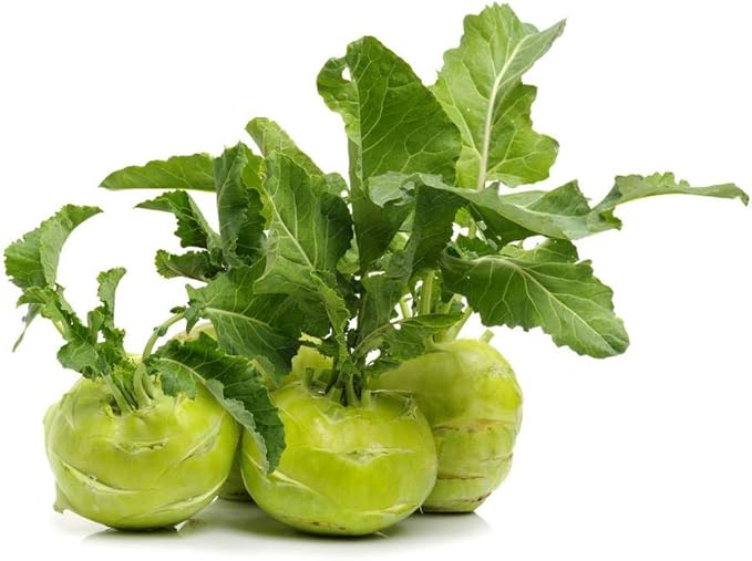 Kohlrabi Seeds for Planting, Pack of 1000 Vegetable Seeds for Planting