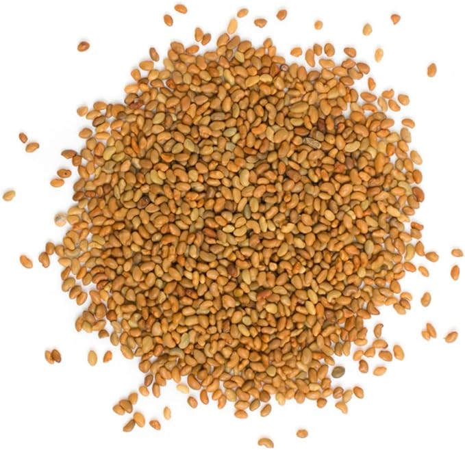 USDA Organic Alfalfa Sprouting Seeds | 1 Pound | Perfect for Sprouting & Microgreens, Premium Alfalfa Sprout Seeds, Non-GMO