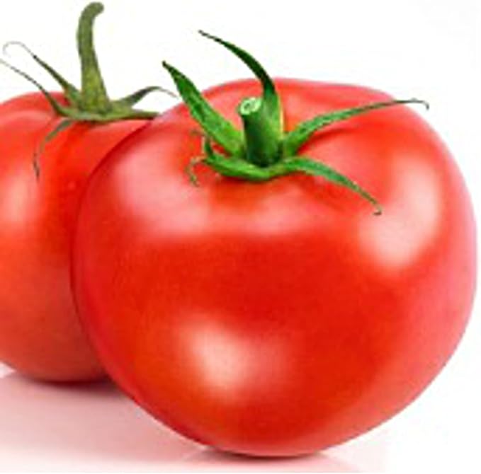Bibor Tomato Seeds (20+ Seeds) | Non GMO | Vegetable Fruit Herb Flower Seeds for Planting | Home Garden Greenhouse Pack