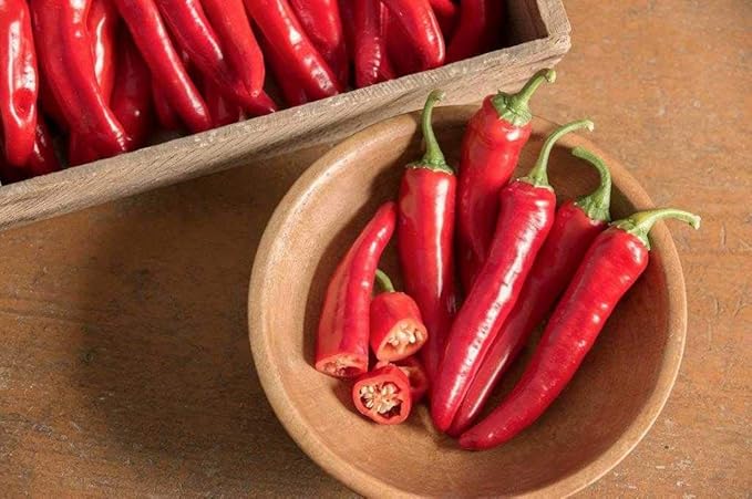 Seeds Fire Hot Pepper Chili Heirloom Vegetable for Planting Non GMO