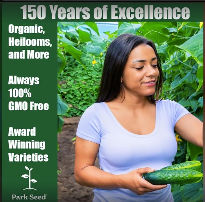 Park Seed Variety of Cucumber Seeds, Planting Cucumbers, Vegetable Seeds, Easy to Grow, Non-GMO, Perfect for Harvesting, Diva, Pack of 250