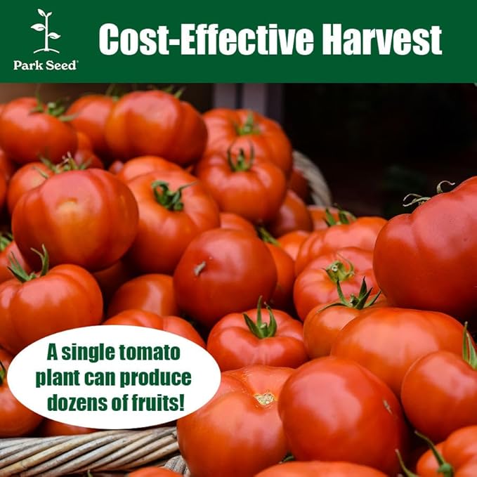 Park Seed Variety of Tomato Seeds, Planting Vegetables, Easy to Grow, Non-GMO, Perfect for Harvesting, Whopper CR Improved Hybrid, Pack of 1000