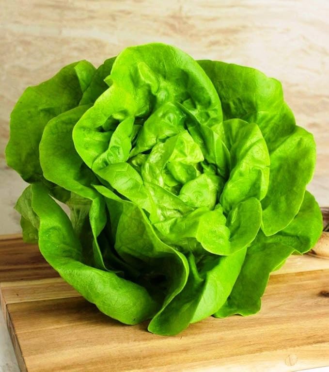 Seeds Vegetable Indoor Mix of Italian Lettuce and Spicy Crops Year-Round (Romaine, Frise, Arugula, Lollo Bionda, Lolla Rossa, Traditional Lettuce) Heirloom for Salads - 1000 Seeds