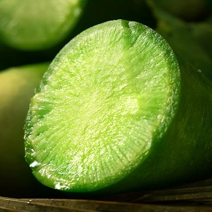 Green Skin Sweet Radish Seeds for Planting, 100+ Green Turnip Radish Seeds, Super Sweet & Crisp Fruit Radish, Fast Growing Heirloom Vegetable Seeds for Home Garden, Easy to Grow Non-GMO Seeds