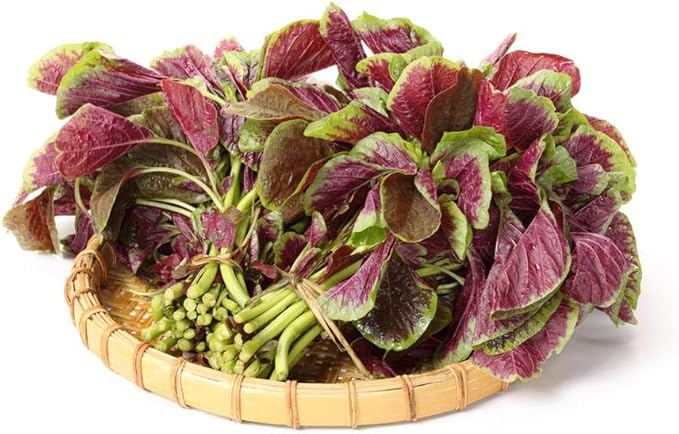 Detroit Dark Red Beet Seeds, Pack of 50 Vegetables Seeds for Plating