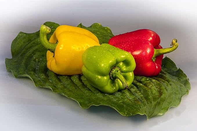 40+ Seeds Sweet Bell Pepper Rainbow - Vegetable Mix