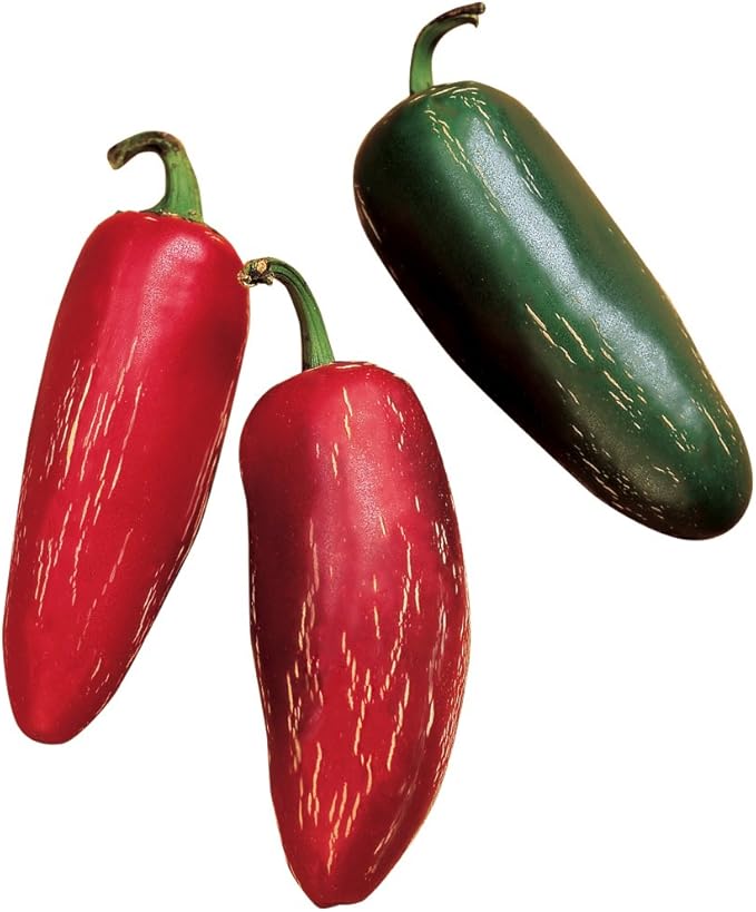 Burpee Biker Billy Hot Pepper Seeds 30 seeds