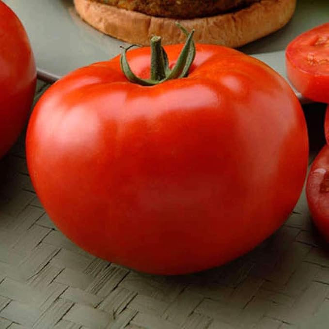 40+ Seeds Giant Beefsteak Tomato - Vegetable Red