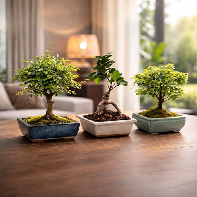 Bonsai Tree Kit for Beginners – 5X Unique Japanese Bonzai Trees, Complete Indoor Bonsai Starter Kit for Growing Bonsai Plants w/Tools & Planters – DIY Christmas Gardening Gifts for Mom