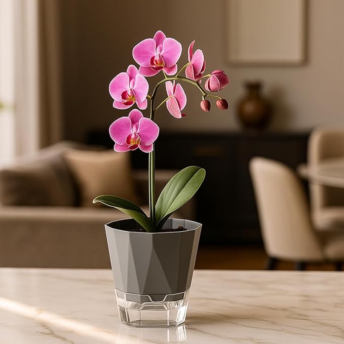 10 Pack Self Watering Pots for Indoor Plants, 6.7 Inches Self Watering Planters African Violet Pots Clear Pots for Herb Orchid Flower Houseplant, Dark Grey